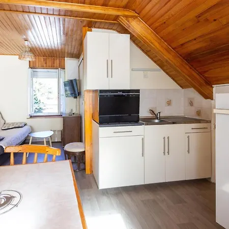 Le Mont-dore Appartement